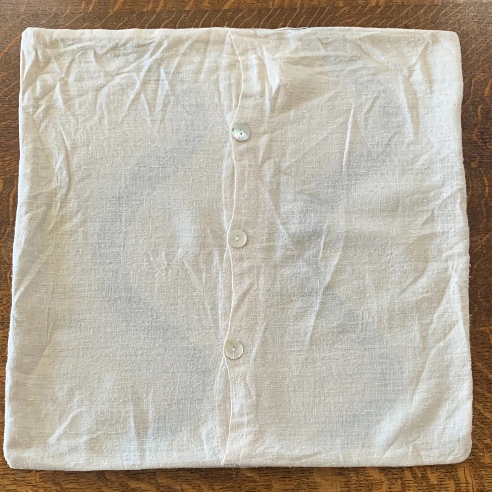 West Elm 100% Silk pillow cover 19 x 19